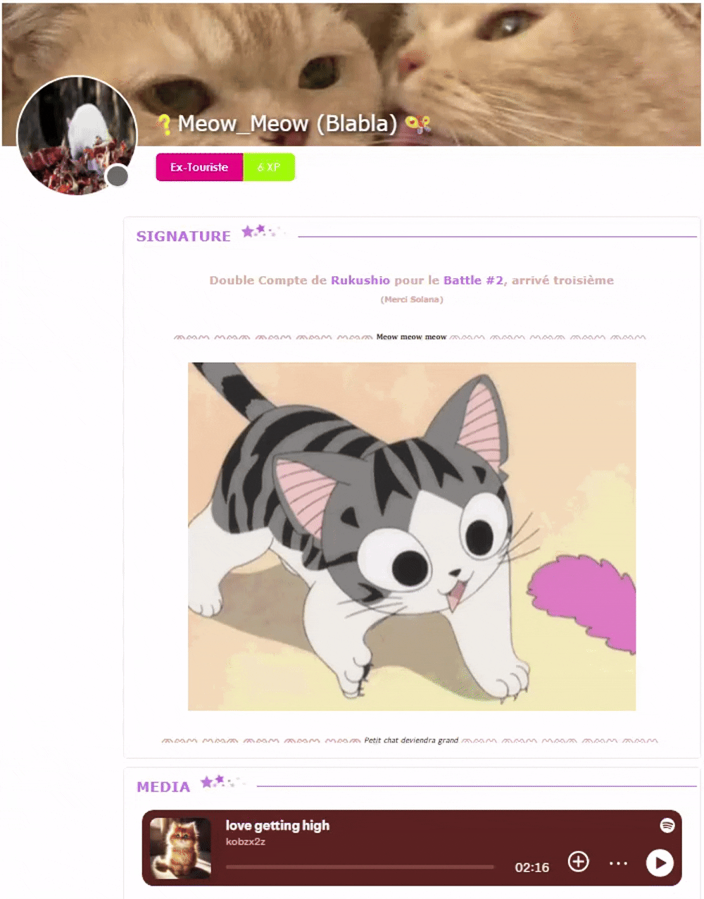 Profil de Blabla, Vive les chats ! - Battle #2 - 3ème Place